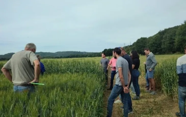 image fiche rex Duransia LBC