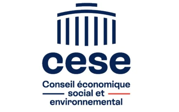 AVIS CESE DECARBONATION