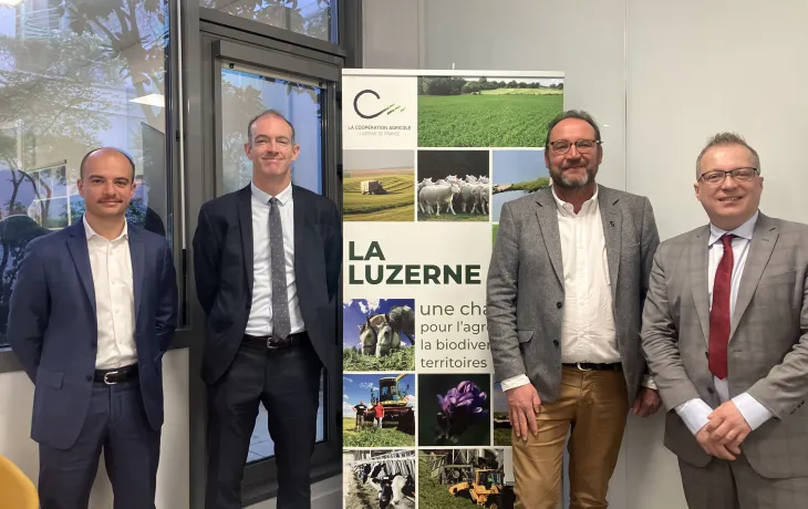 Luzerne de France et Désialis