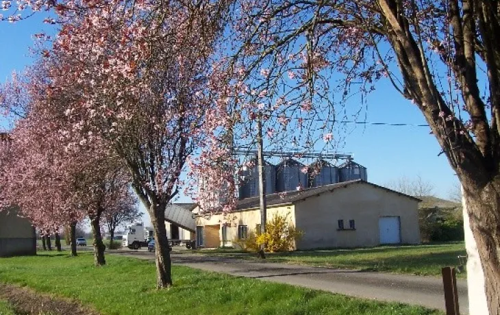 Chiffres clés bio 2025 NA