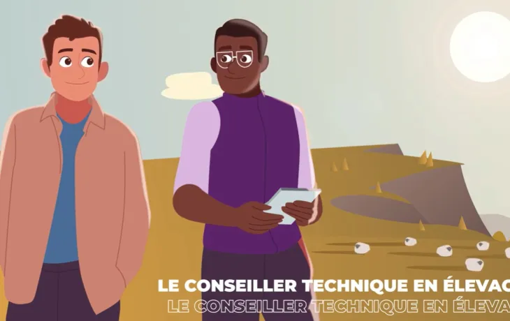 Motion design - amont de la filière