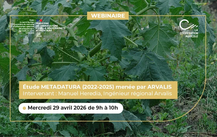 Webinaire Meta Datura