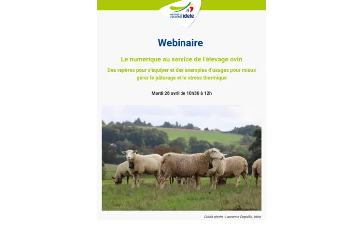 webinaire numérique avril 2026