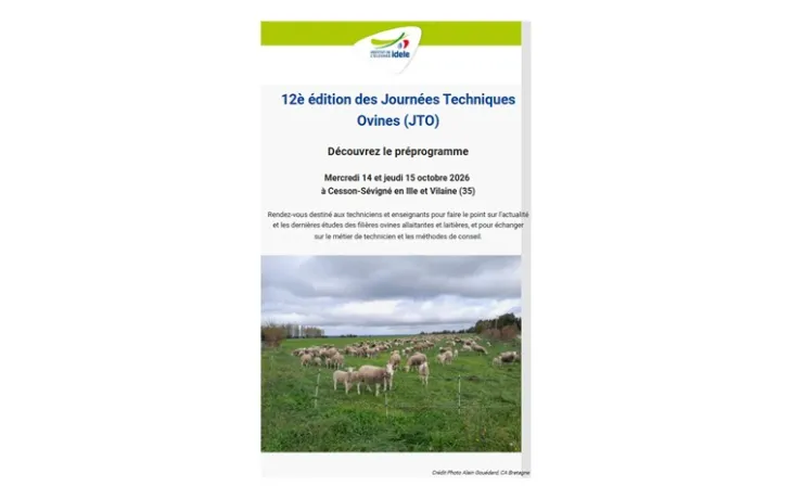 JTO 2026 pré prog