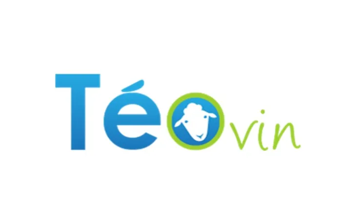 LOGO TEOVIN