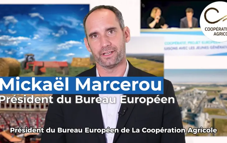 Mickael Marecerou