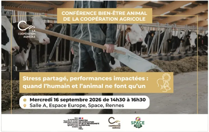 Conférence BEA 2026