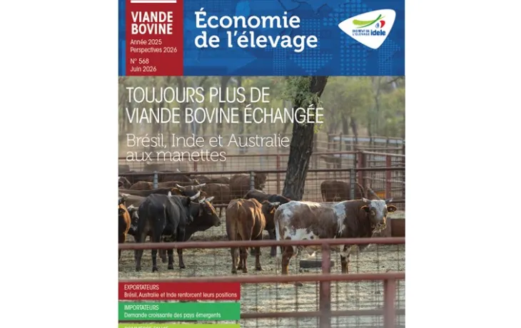 MMX VIANDE BOVINE année 2025 perspective 2026