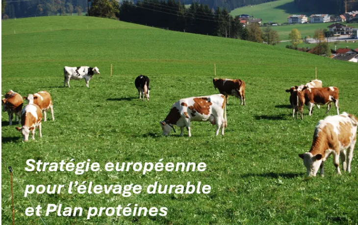 Elevage durable