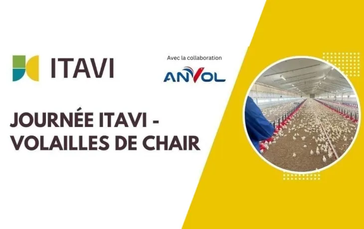 journée itavi 2026
