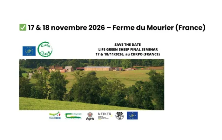 green sheep séminaire final