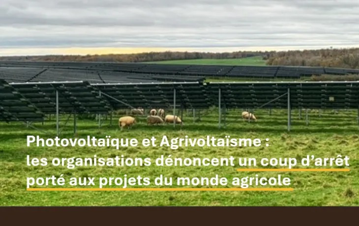 Panneaux photovoltaïques dans un champ