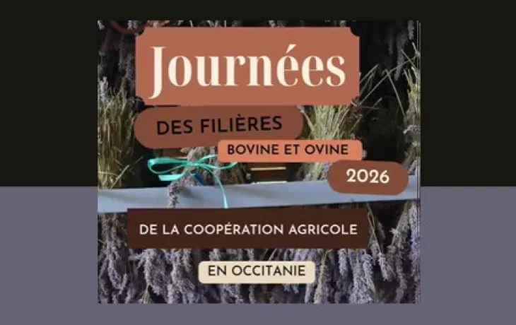 visuel JBO 2026