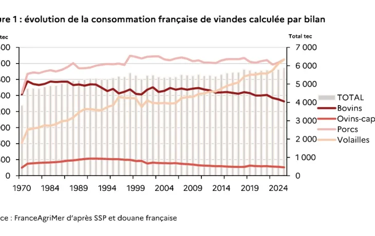 Consommation de viande en France (FranceAgriMer)