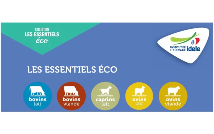 essentiels eco IDELE INOSYS