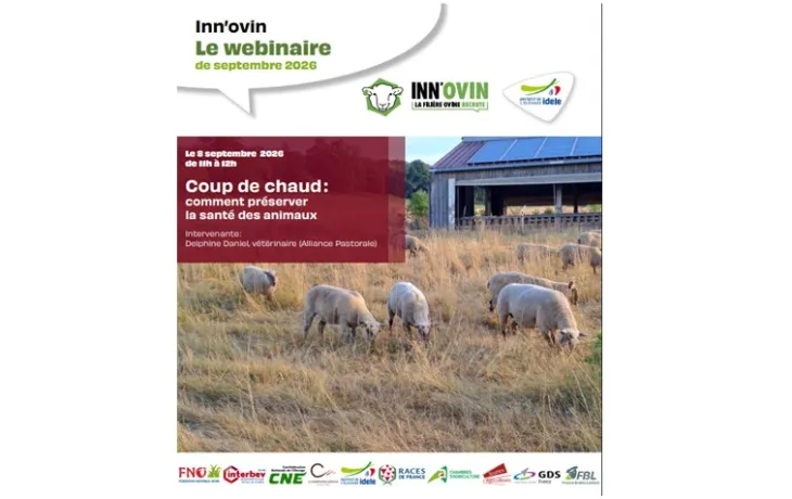 webinaire innovin coup de chaud
