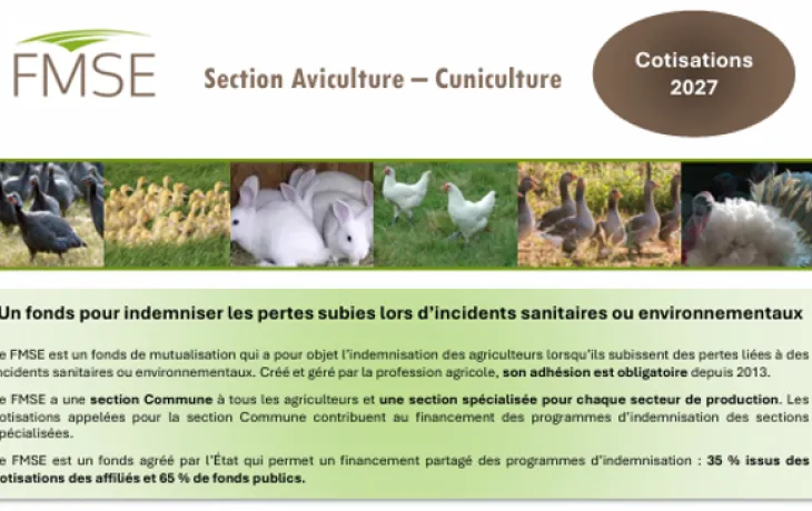 FMSE : Plaquette information section Aviculture-Cuniculture