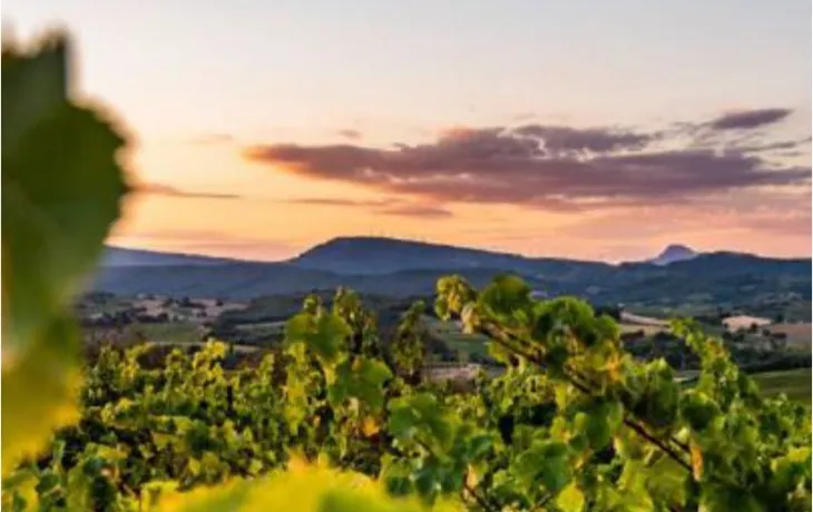 paysage anne de joyeuse