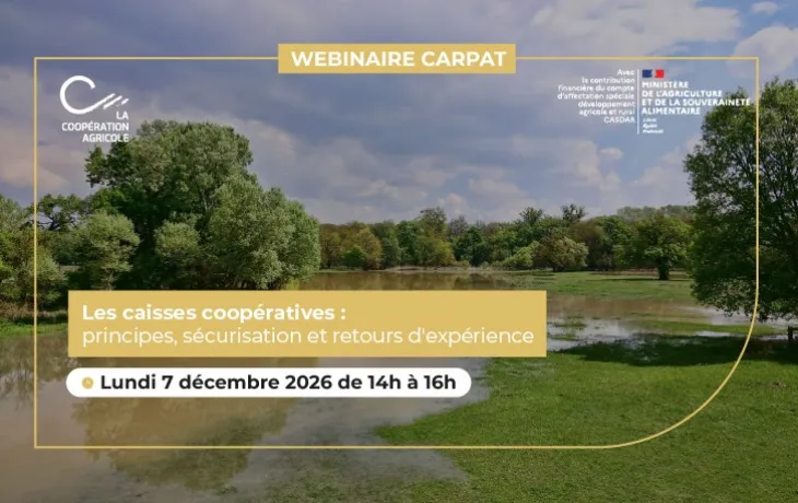 Webinaire - CARPAT