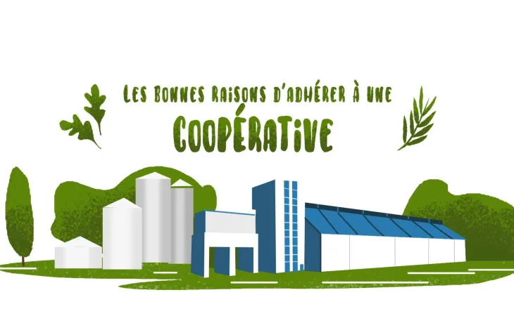 bonnes aisons d'adhérer à une coopérative.JPG